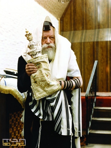File:הרבי והתורה.jpg