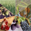 Thumbnail for version as of 00:25, 11 June 2010