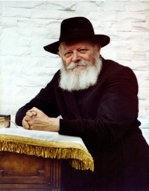 לערך הרבי שליט"א.jpeg