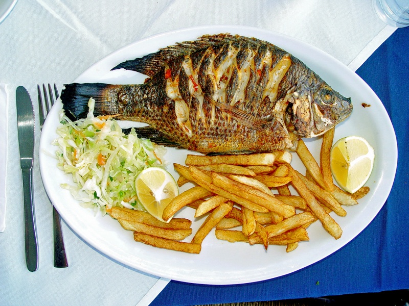 File:מנת מאכל דג אמנון.jpg